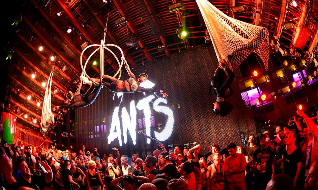 815A83BB05E857EA0A6632A12E7D19AA